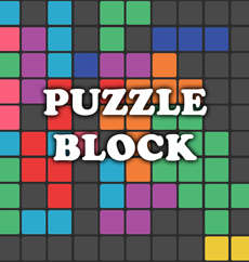 Playooza Puzzle Block Game